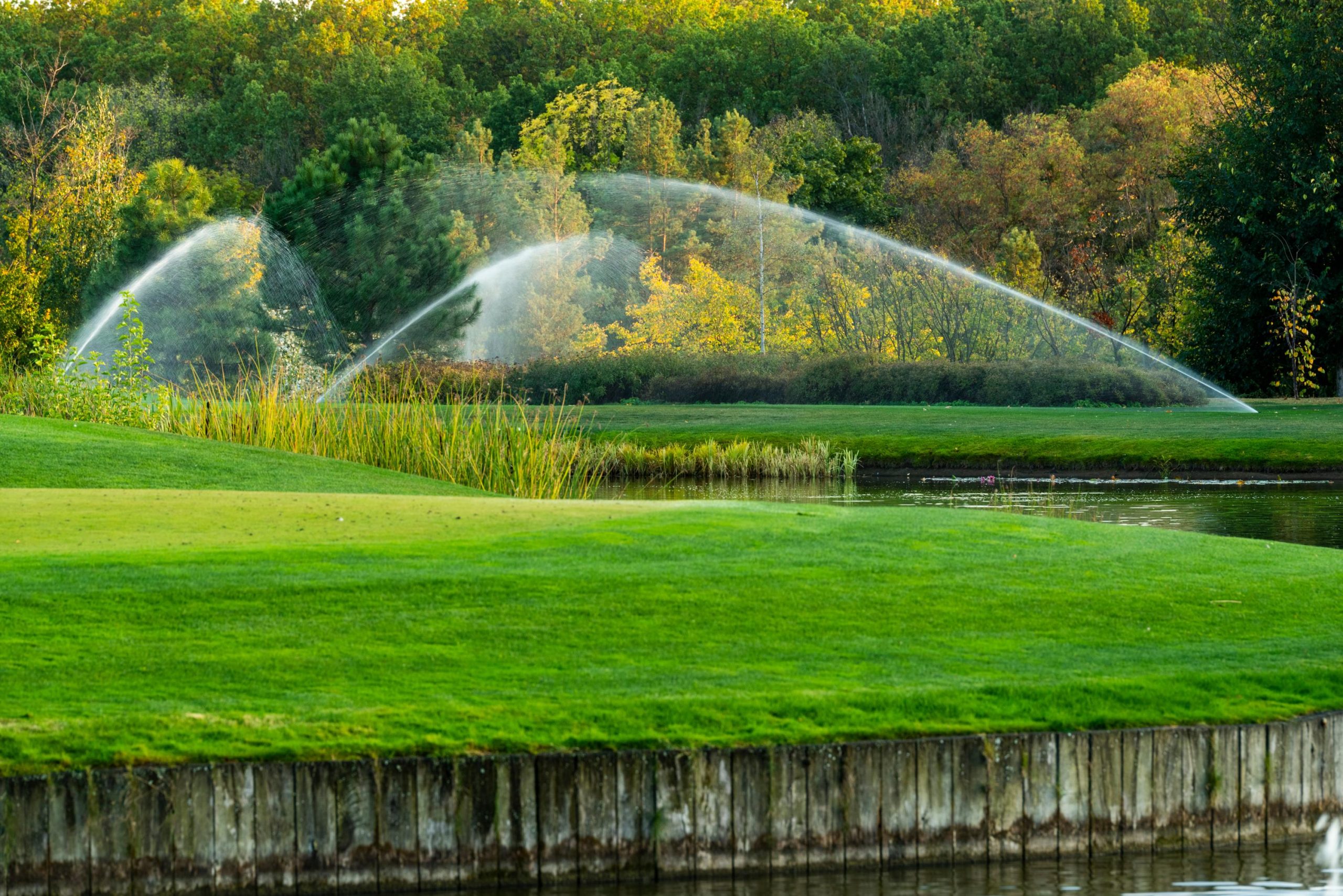 Adobestock 346653815